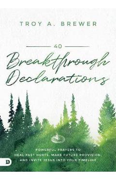 40 Breakthrough Declarations: Powerful Prayers to Heal Past Hurts, Make Future Provision, and Invite Jesus Into Your Timeline - Troy Brewer - Imagine 1