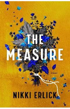 The Measure - Nikki Erlick