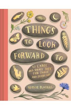Things to Look Forward to - Sophie Blackall