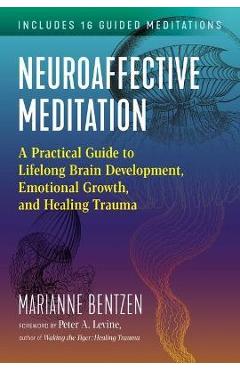 Neuroaffective Meditation: A Practical Guide to Lifelong Brain Development, Emotional Growth, and Healing Trauma - Marianne Bentzen