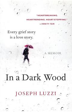In a Dark Wood: A Memoir - Joseph Luzzi