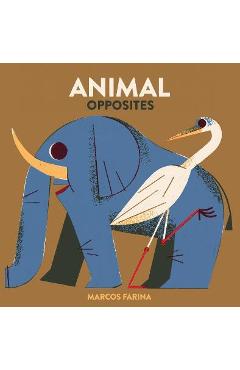 Babylink: Animal Opposites - Marcos Farina