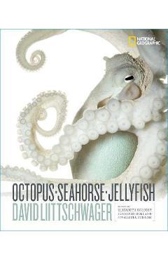 Octopus, Seahorse, Jellyfish - David Liittschwager
