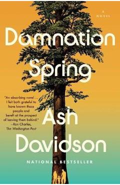 Damnation Spring - Ash Davidson