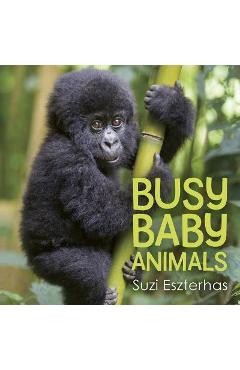 Busy Baby Animals - Suzi Eszterhas