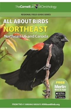 All about Birds Northeast: Northeast Us and Canada