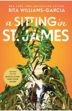 A Sitting in St. James - Rita Williams-garcia