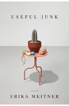 Useful Junk - Erika Meitner