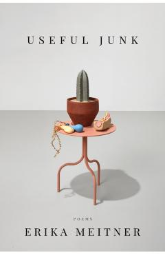 Useful Junk - Erika Meitner