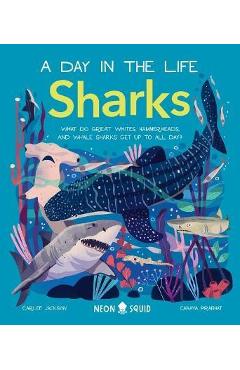 Sharks (a Day in the Life): What Do Great Whites, Hammerheads, and Whale Sharks Get Up to All Day? - Carlee Jackson