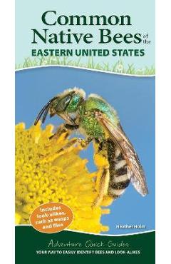 Common Native Bees of the Eastern United States: Your Way to Easily Identify Bees and Look-Alikes - Heather Holm