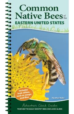 Common Native Bees of the Eastern United States: Your Way to Easily Identify Bees and Look-Alikes - Heather Holm