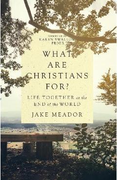 What Are Christians For?: Life Together at the End of the World - Jake Meador