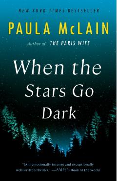 When the Stars Go Dark - Paula Mclain
