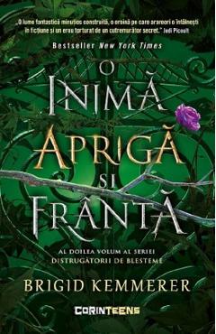 O inima apriga si franta. Seria Distrugatorii de blesteme Vol.2 - Brigid Kemmerer