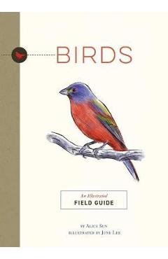 Birds: An Illustrated Field Guide