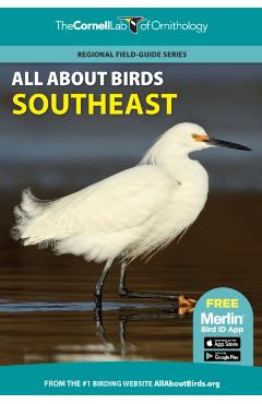 All about Birds Southeast - Cornell Lab Of Ornithology