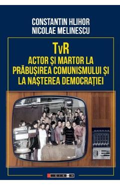 TVR. Actor si martor la prabusirea comunismului si la nasterea democratiei - Constantin Hlihor, Nicolae Melinescu