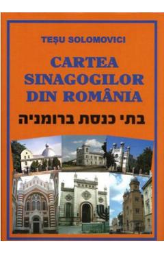 Cartea sinagogilor din Romania - Tesu Solomovici