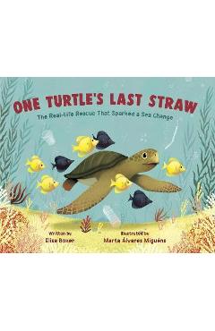 One Turtle\'s Last Straw: The Real-Life Rescue That Sparked a Sea Change - Elisa Boxer