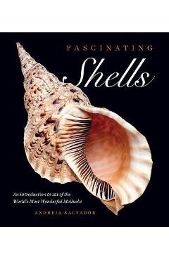 Fascinating Shells: An Introduction to 121 of the World\'s Most Wonderful Mollusks - Andreia Salvador