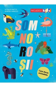 Somnorosii - Octavio Pintos, Martin Iannuzzi