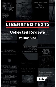 Liberated Texts, Collected Reviews: Volume One - Louis Allday