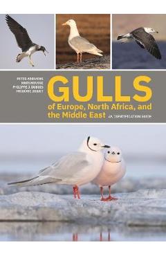 Gulls of Europe, North Africa, and the Middle East: An Identification Guide - Peter Adriaens