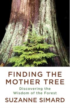 Finding the Mother Tree: Discovering the Wisdom of the Forest - Suzanne Simard