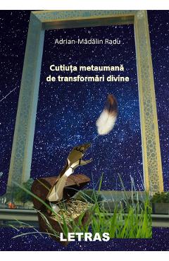 eBook Cutiuta metaumana de transformari divine - Adrian Madalin Radu