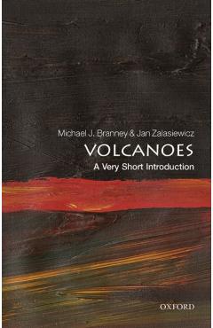 Volcanoes: A Very Short Introduction - Michael J. Branney