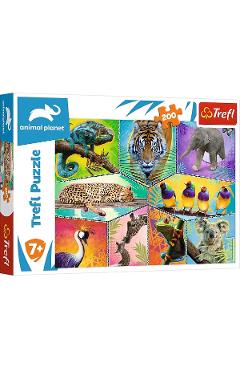 Puzzle 200. Animal Planet o lume exotica