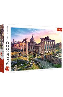 Puzzle 1000. Forum Roman