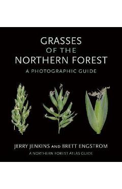 Grasses of the Northern Forest: A Photographic Guide - Jerry Jenkins