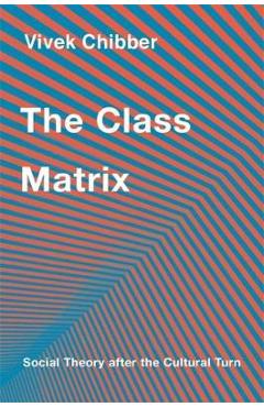 The Class Matrix: Social Theory After the Cultural Turn - Vivek Chibber
