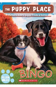 Bingo (the Puppy Place #65) - Ellen Miles