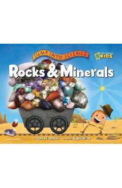 Jump Into Science: Rocks and Minerals - Steve Tomecek