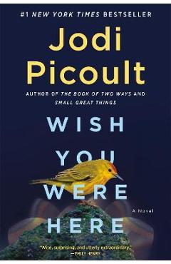 Wish You Were Here - Jodi Picoult