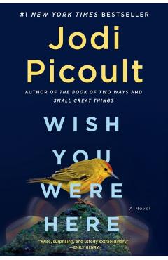 Wish You Were Here - Jodi Picoult