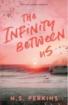 The Infinity Between Us - Ns Perkins