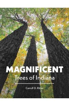 Magnificent Trees of Indiana - Carroll D. Ritter
