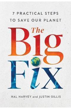 The Big Fix: Seven Practical Steps to Save Our Planet - Hal Harvey