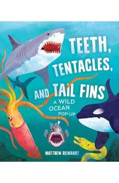 Teeth, Tentacles, and Tail Fins: A Wild Ocean Pop-Up (Reinhart Studios) (Ocean Book for Kids, Shark Book for Kids, Nature Book for Kids) - Matthew Reinhart