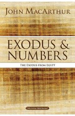 Exodus and Numbers: The Exodus from Egypt