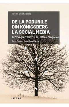 Mari idei ale matematicii. De la Podurile din Konigsberg la social media - Javier Galeano, Juan Manuel Pastor