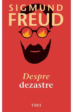 eBook Despre dezastre - Sigmund Freud