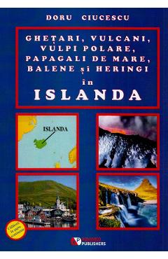 Ghetari, vulcani, vulpi polare, papagali de mare, balene si heringi in islanda - Doru Ciucescu