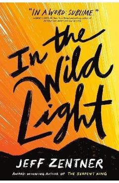 In the Wild Light - Jeff Zentner