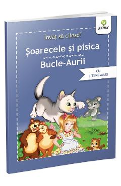 Invat sa citesc! soarecele si pisica. bucle aurii