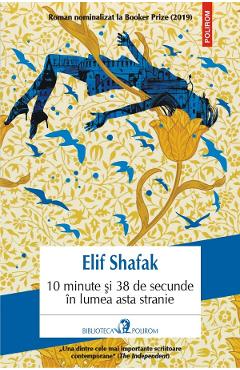 10 minute si 38 de secunde in lumea asta stranie - Elif Shafak